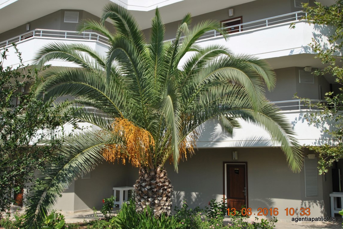 imagini hotel PALM WINGS EPHESUS